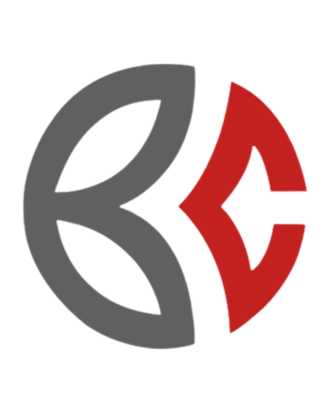 Build Core Logo